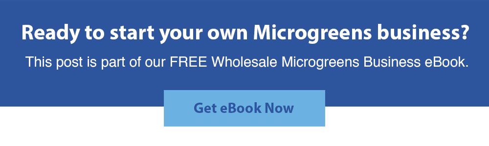 starting-microgreens-business